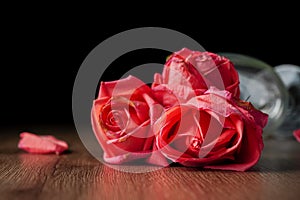 Group of pink roses put in champagne glass that falling on dark color wooden table