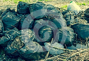 Group of plastic bags filled with organic waste from garden and yard. Garbage bags with leaves