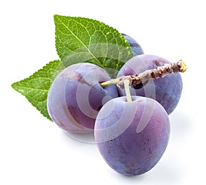 Group of plums with leaf isolated on a white background.