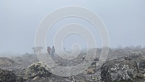 A group of porters with large backpacks and trunks on their heads. Foggy mountain landscape. Climbing Kilimanjaro, Africa