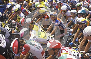Group of Professional bicycling racers