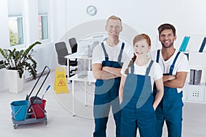 Group of professional cleaners