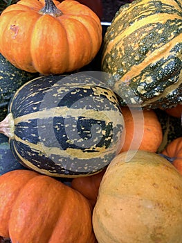 Group of pumpkins close up