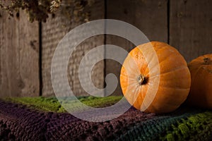 Group of pumpkins on a grunge wooden backdrop. Woolen scarf, Thanksgiving, coutryside And Fall Background, copy space.