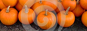 Group of pumpkins on pavements photo