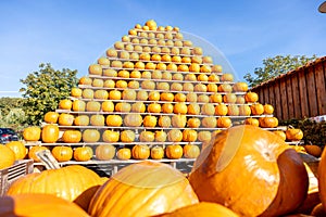 Group of pumpkins on the stand in Osnabrueck, Germany