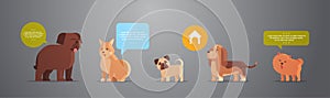 group of purebred dogs furry human friends home pets collection concept cartoon animals horizontal