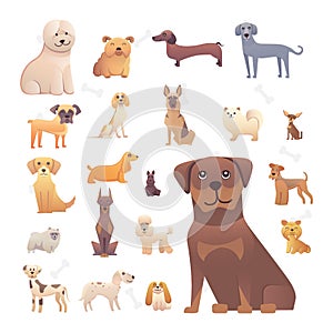 Group of purebred dogs. Illustration for dog training courses, breed club landing page