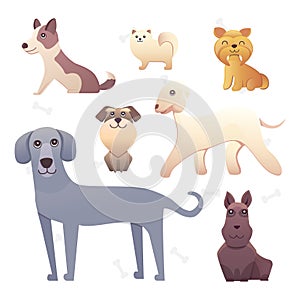 Group of purebred dogs. Illustration for dog training courses, breed club landing page and corporate site design