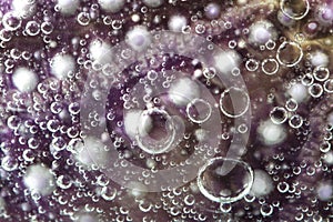 Group of purple air bubbles in water