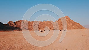 Group of quad bike racers driving in desert