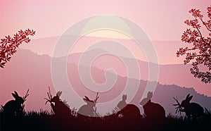 Group of rabbits in the meadow. Natural forest. Wild animals. Mountains horizon hills silhouettes. Sunrise and sunset.