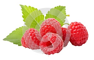 A group of raspberries with leaves