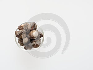 A group of raw cockle, ark shell, in a glass bowl isolated on white background