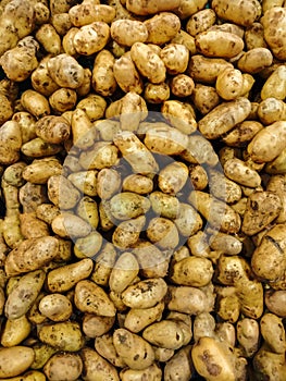 Group of raw potato for background, Top view