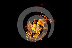 Group of real and hot flames are burning on a black background