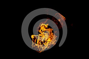 Group of real and hot flames are burning on a black background.
