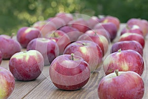 group of red apples in row on wood background. Apple autumn harvest. Fresh red apples close up