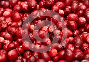 Group of red berries