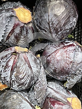 Group of red cabbages in a supermarket, Cabbage background,