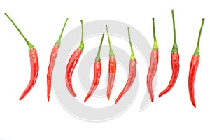 Group of red chilies