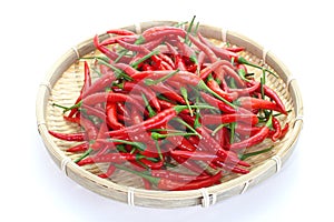 Group of red chilies