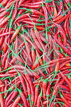 Group of red chilies