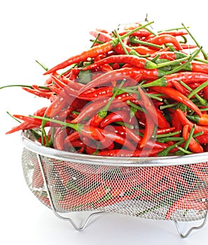 Group of red chilies