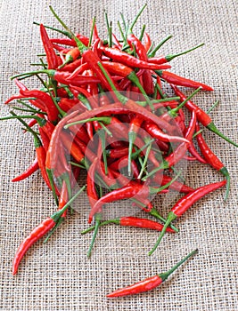 Group of red chilies