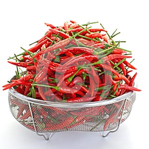 Group of red chilies