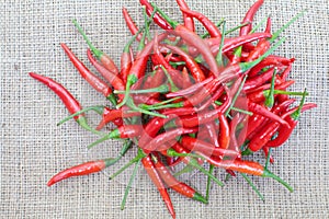 Group of red chilies