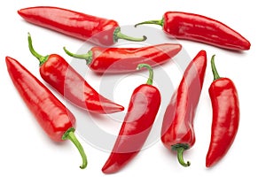 Group of red chilies photo