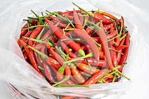 Group of Red chillis in a bag with white background.