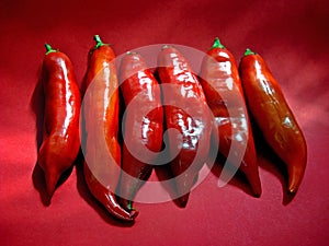 Group of red chilly peppers, Rio