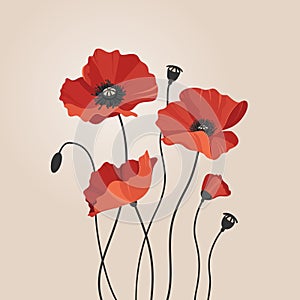 Group of red flowers on beige background. Red poppies are a symbol of memory and sorrow. Vector illustration.