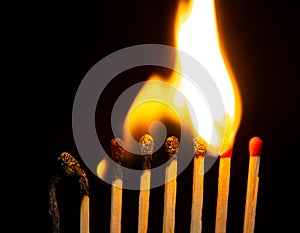 Group of red match burning isolated on black background