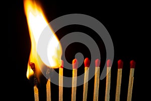 Group of red match burning isolated on black background