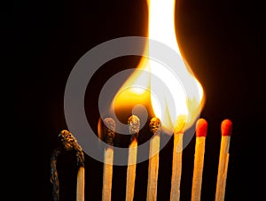 Group of red match burning isolated on black background