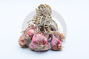 Group of red onion on white background