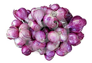 Group of Red Onion