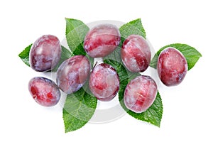 A group of red-purple plums with green foliage on a white background