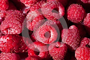 Group of red rasberries close up