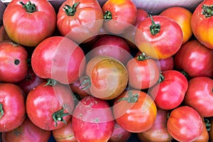 Group of red ripe and delicious tomatoes for sale in an urban market in france