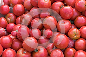 Group of red ripe and delicious tomatoes for sale in an urban market in france