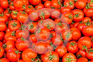 Group of red ripe tomatoes food