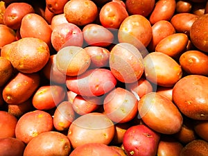 Group of red royale potatoes in close up.