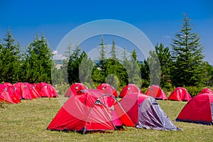 Group of red tents for campers at forest