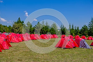 Group of red tents for campers at forest