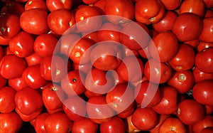 Group of red tomato background texture
