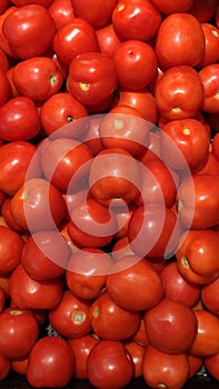 Group of red tomato background texture